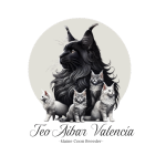 Teo Aibar Valencia Maine Coon breeder